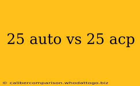 25 auto vs 25 acp