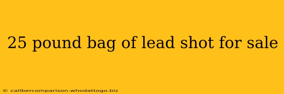 25 pound bag of lead shot for sale