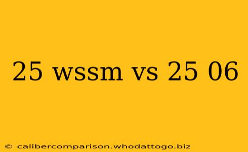 25 wssm vs 25 06