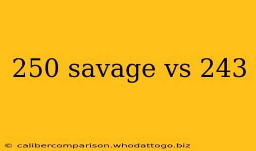 250 savage vs 243