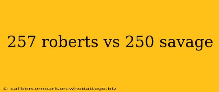 257 roberts vs 250 savage