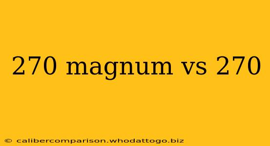 270 magnum vs 270