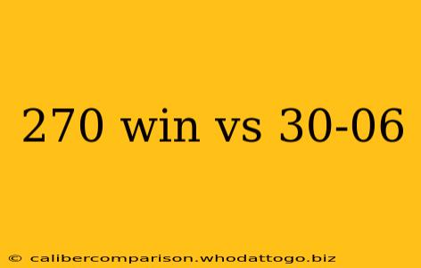 270 win vs 30-06