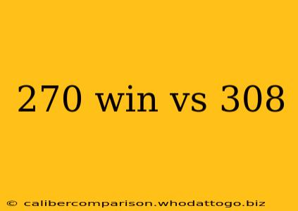 270 win vs 308