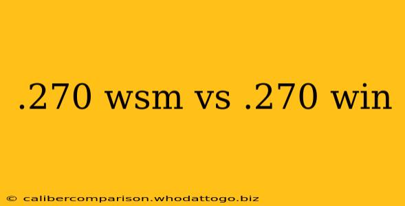 .270 wsm vs .270 win