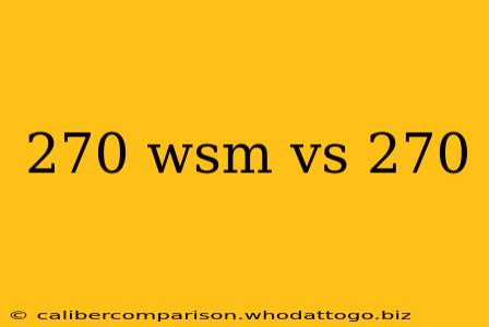 270 wsm vs 270