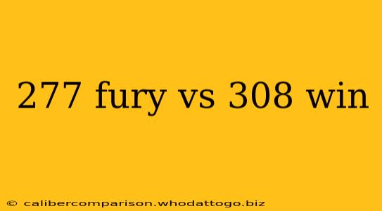 277 fury vs 308 win