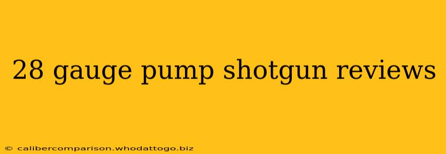 28 gauge pump shotgun reviews