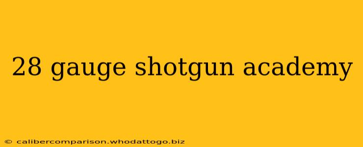 28 gauge shotgun academy