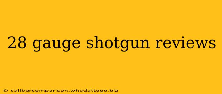 28 gauge shotgun reviews