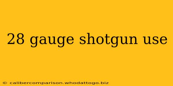 28 gauge shotgun use