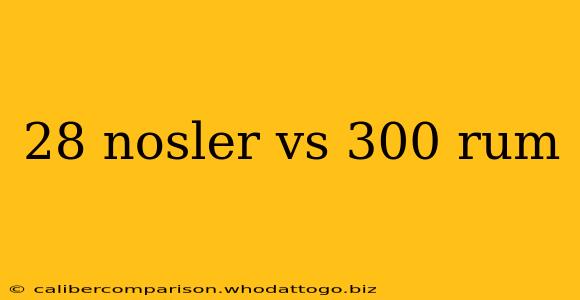 28 nosler vs 300 rum