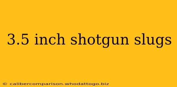 3.5 inch shotgun slugs