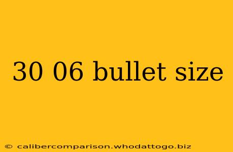 30 06 bullet size