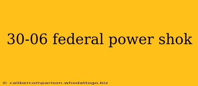 30-06 federal power shok