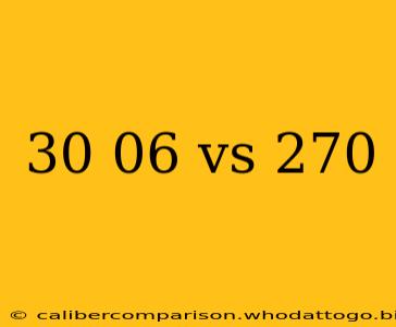 30 06 vs 270