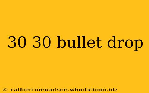 30 30 bullet drop