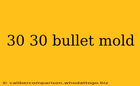 30 30 bullet mold