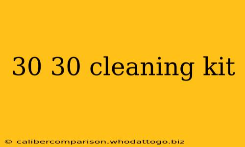 30 30 cleaning kit