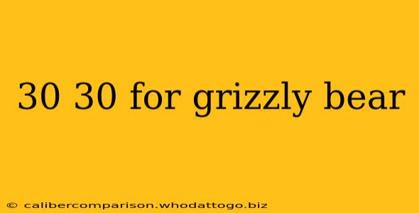 30 30 for grizzly bear