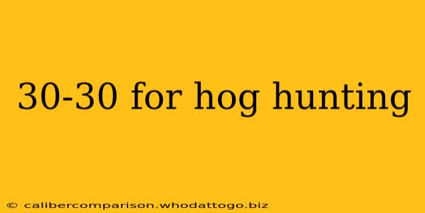 30-30 for hog hunting