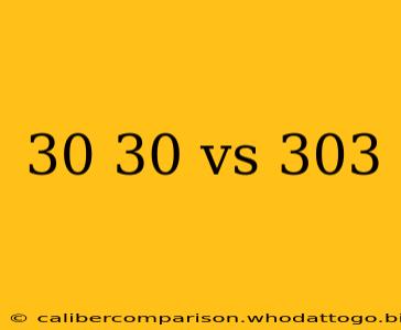 30 30 vs 303