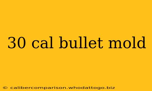 30 cal bullet mold