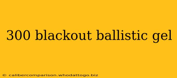 300 blackout ballistic gel