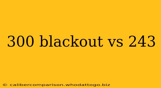 300 blackout vs 243