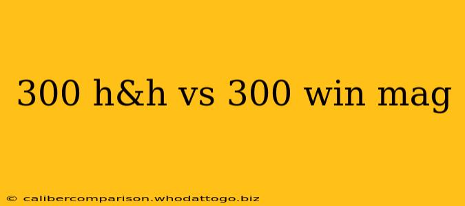 300 h&h vs 300 win mag