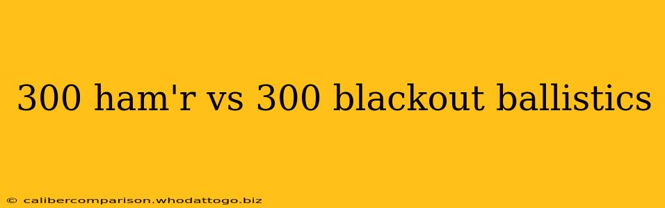 300 ham'r vs 300 blackout ballistics