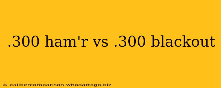 .300 ham'r vs .300 blackout