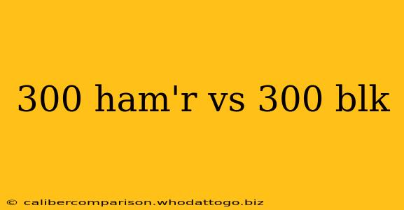 300 ham'r vs 300 blk