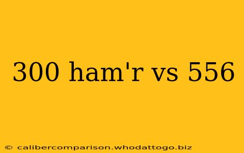 300 ham'r vs 556