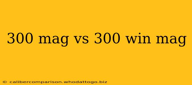 300 mag vs 300 win mag