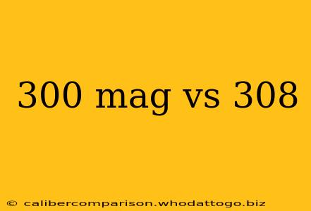 300 mag vs 308