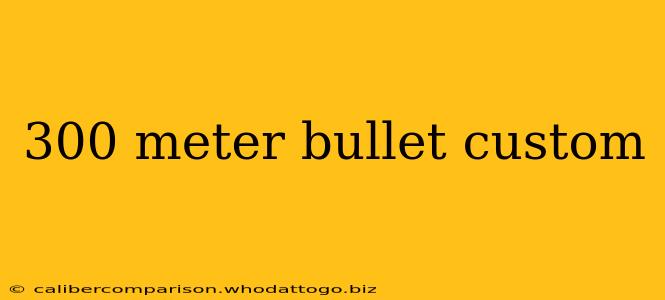 300 meter bullet custom