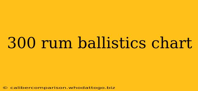 300 rum ballistics chart