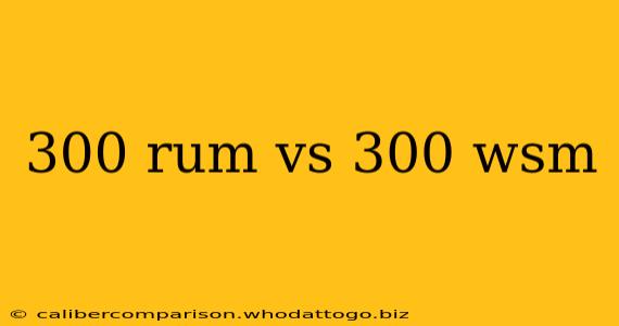 300 rum vs 300 wsm