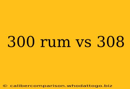 300 rum vs 308