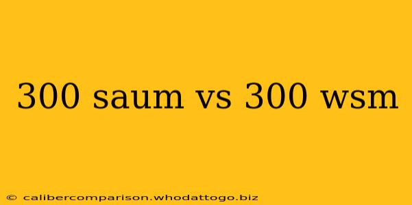 300 saum vs 300 wsm