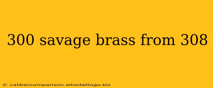 300 savage brass from 308