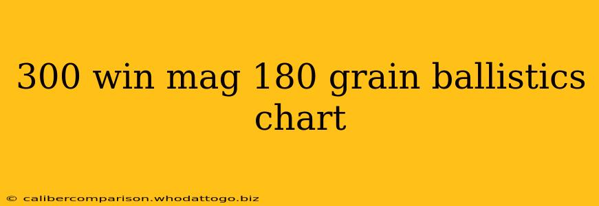 300 win mag 180 grain ballistics chart