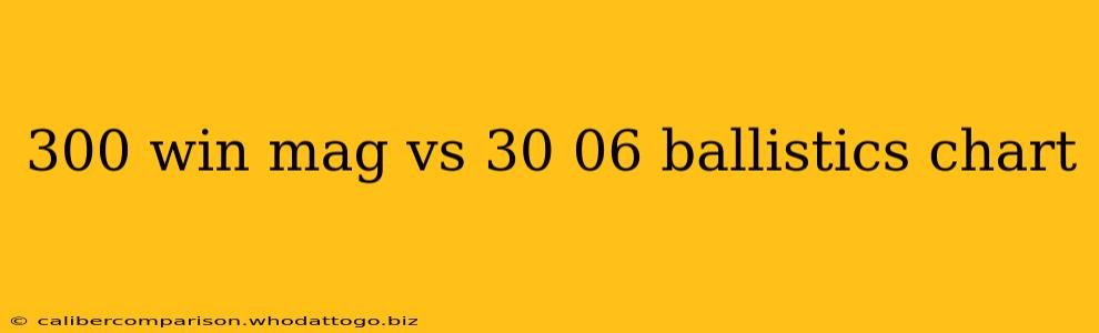 300 win mag vs 30 06 ballistics chart