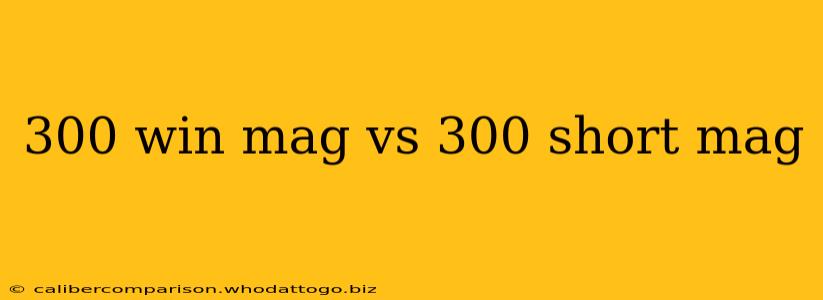 300 win mag vs 300 short mag