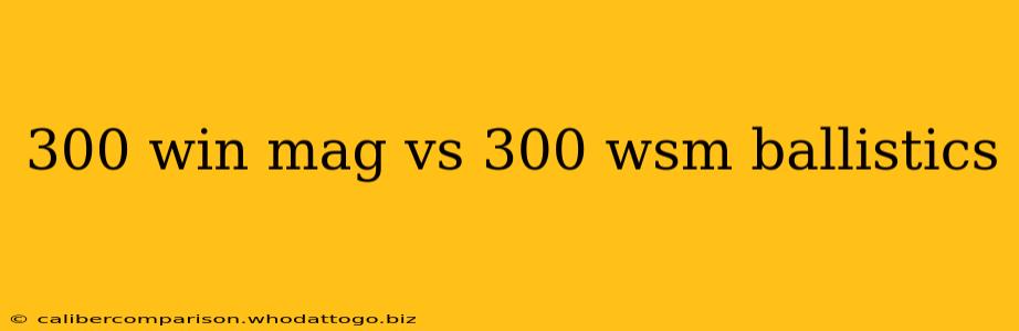 300 win mag vs 300 wsm ballistics