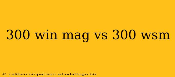 300 win mag vs 300 wsm