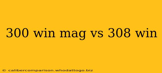 300 win mag vs 308 win