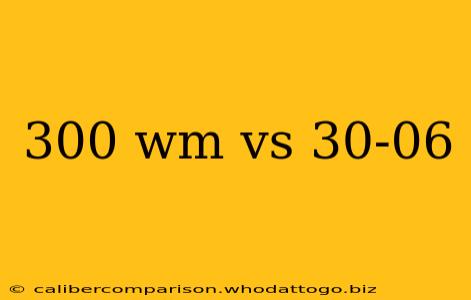 300 wm vs 30-06