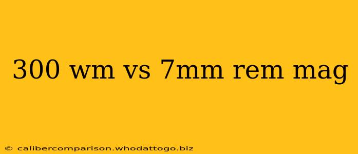 300 wm vs 7mm rem mag